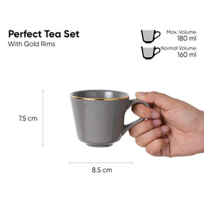 Gray mug with gold rim held by a hand, showing dimensions and volume details on a white background.