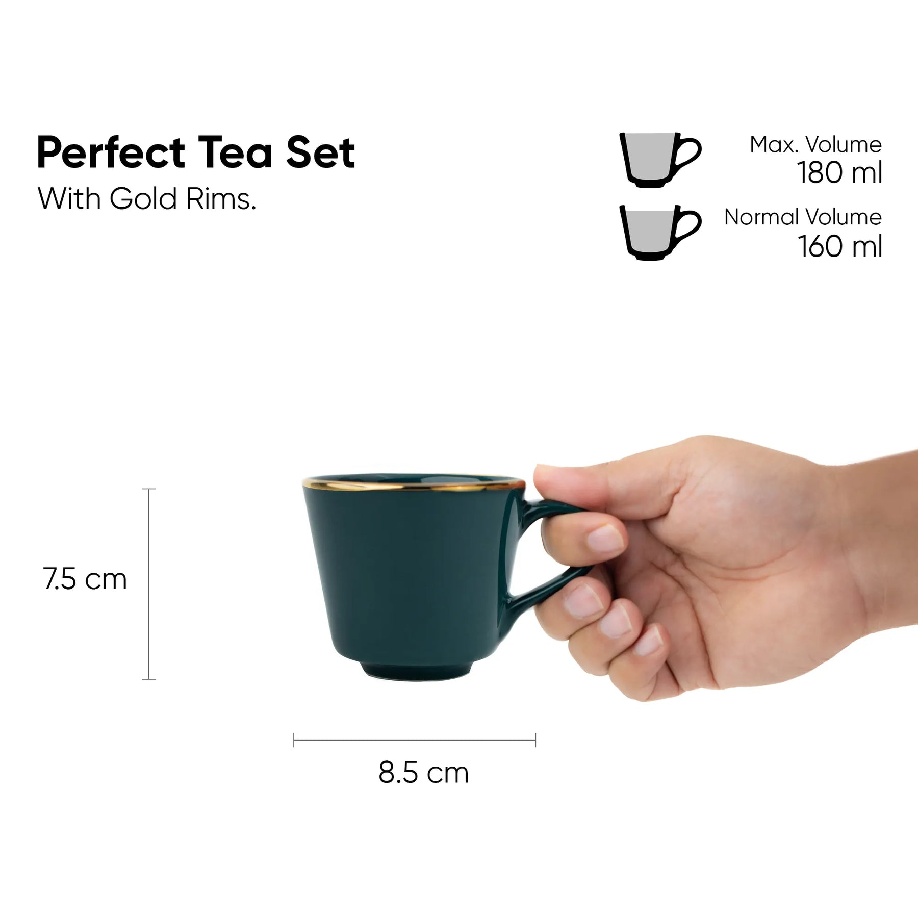 Tea cup held by a hand with measurements and volume details on a white background