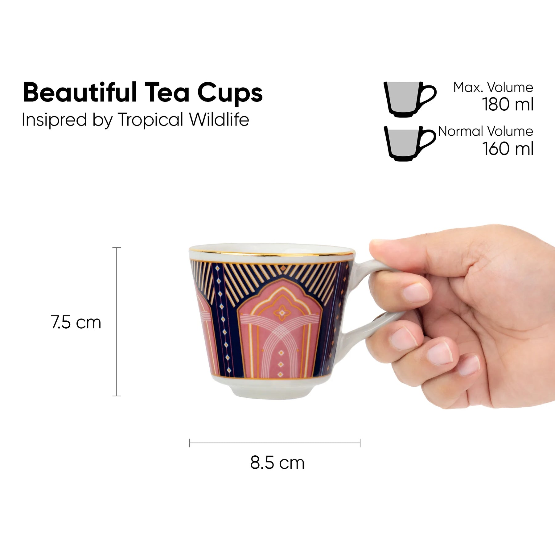 Tea cup with dimensions and volume information, held by a hand.